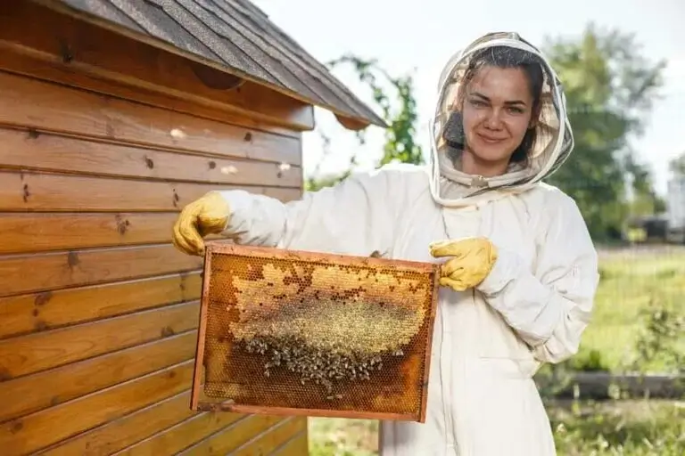 A portrait of a friendly beekeeper holding a frame.