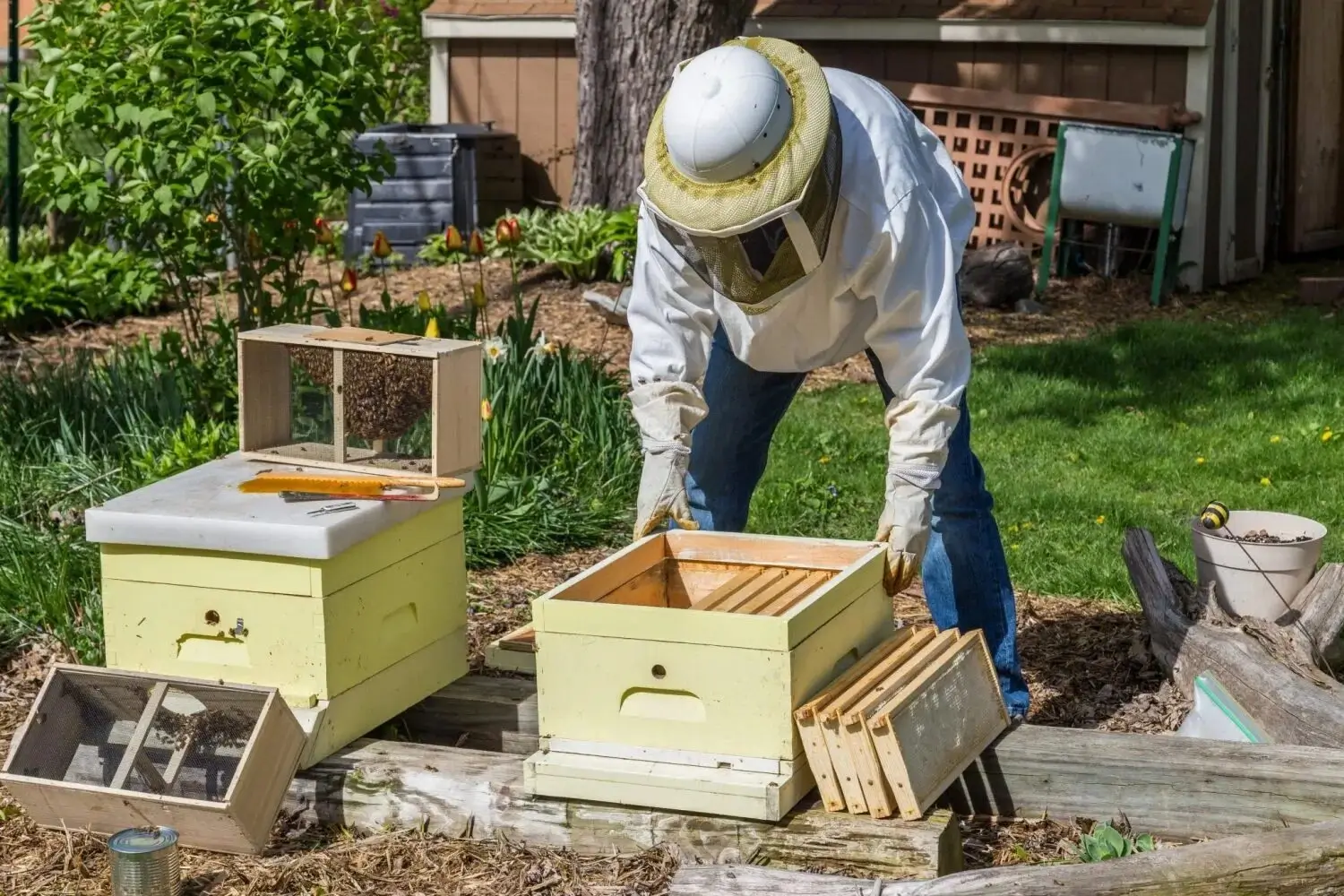 A beekeeper working with a hive.