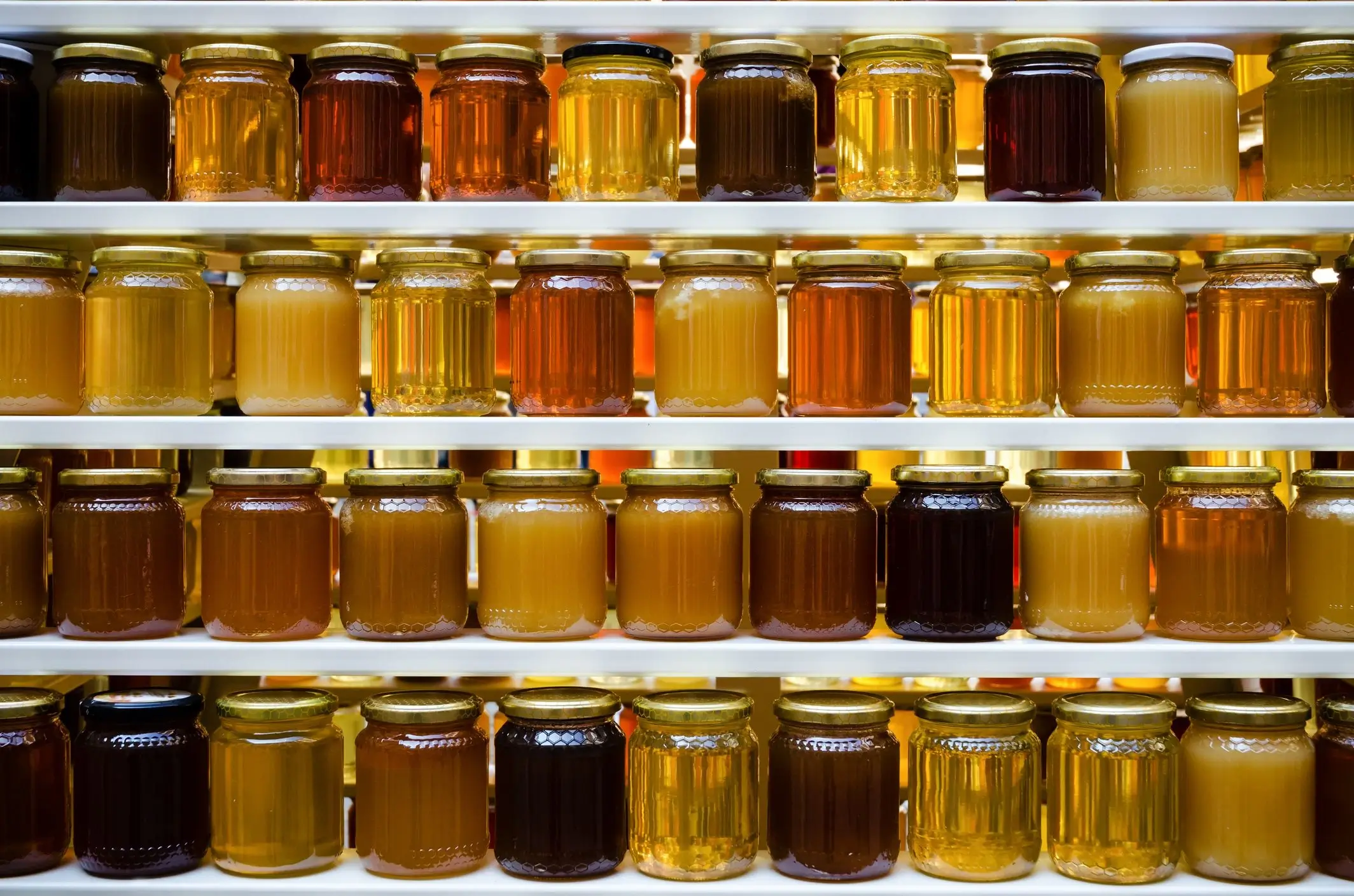 Three different types of honey showing varied colors.
