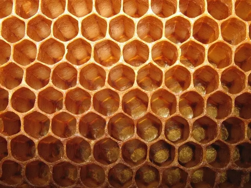 Extreme close-up of the perfect hexagonal structure of a honeycomb.