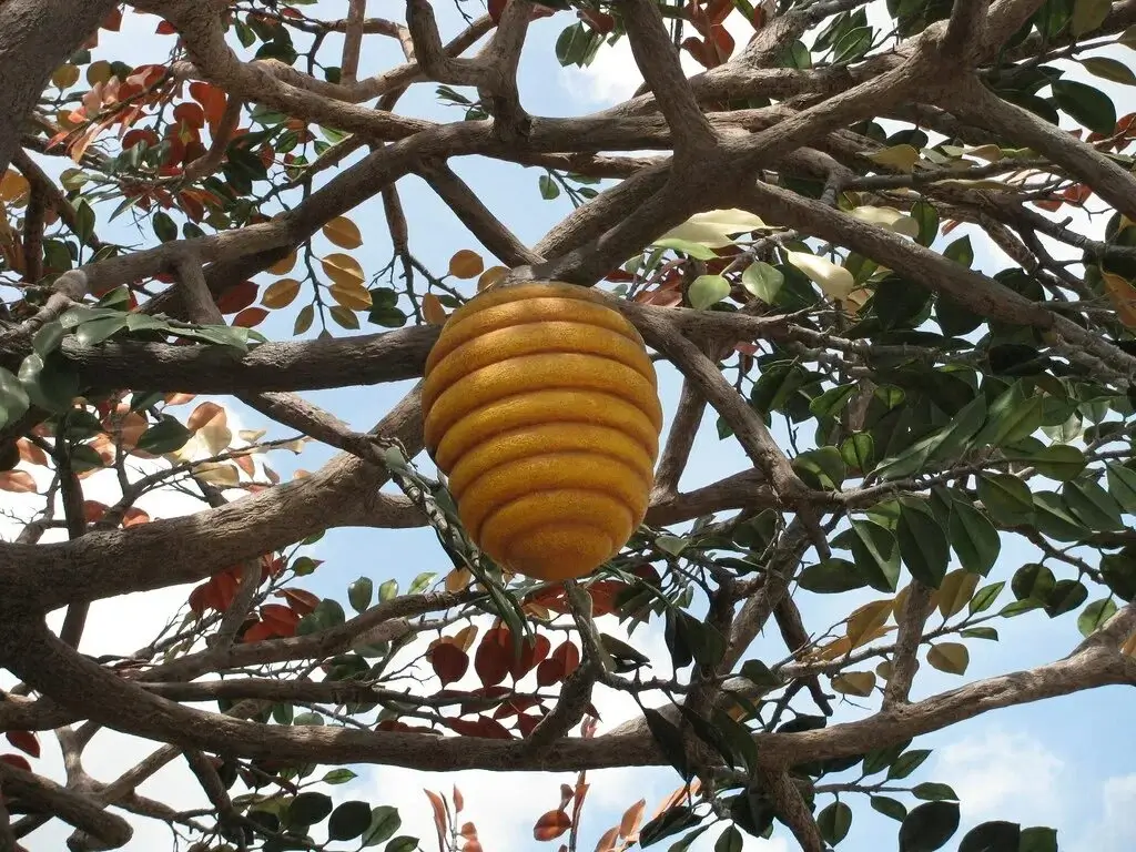 The natural brown of a wooden beehive.