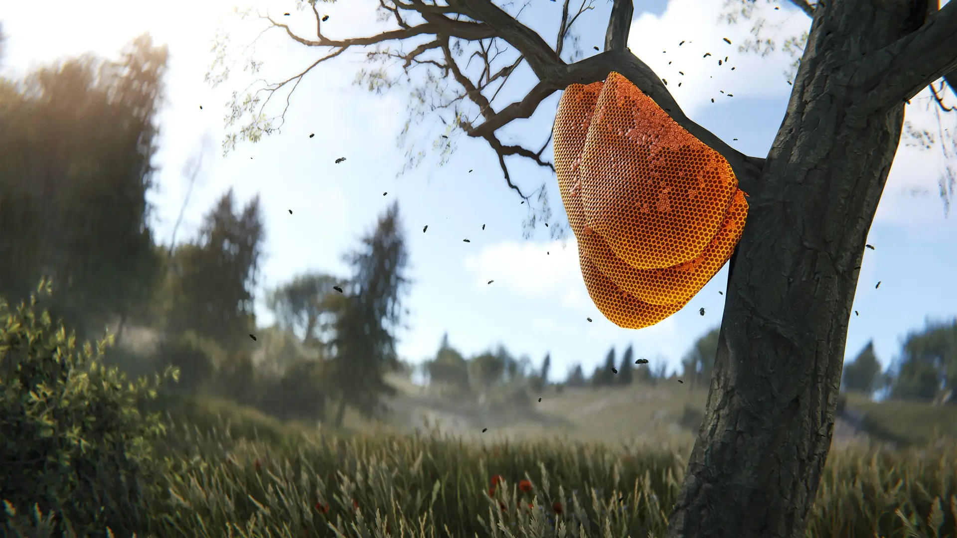 Gently smoking the hive to calm the bees.